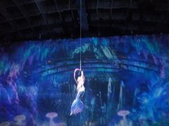 -海合安武汉极地海洋公园