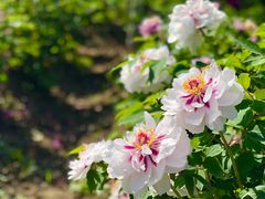 -江南大学-第一食堂(江南苑)