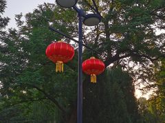 -莲花池公园