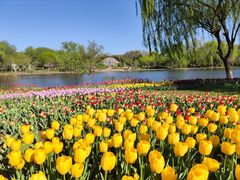 -石家庄市植物园