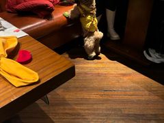 -弗兰克牛排西餐厅Ribone steak house(柠檬花园店)