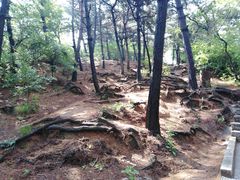 -北山公园