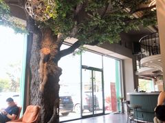 -迪欧咖啡·中西餐融合菜(平江万达旗舰店)