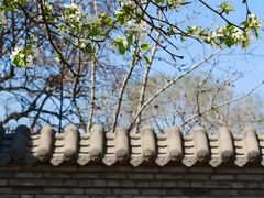 -护国法轮寺