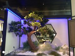 -绿茶餐厅(成都大悦城店)