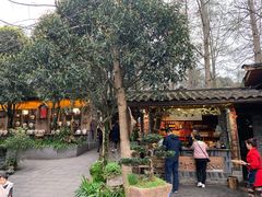 -青城甲(青城山店)