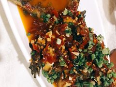 糟辣黄角鱼-贵州人家·酸汤火锅·20年老字号