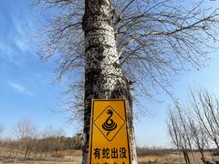 -马家湾湿地公园
