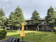 -时光吧·大堂吧·丽江和府洲际度假酒店