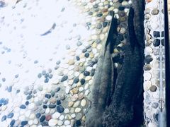 景点-龙泉岩寺庙群