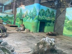 -昆明动物园