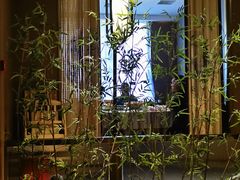 -宏宴·新京菜(望京店)