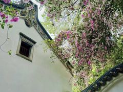 -深圳国际园林花卉博览园