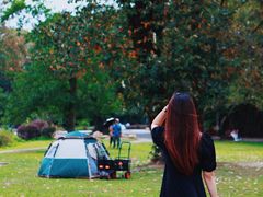 -华南国家植物园-售票处