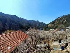 -崂山九水游览区