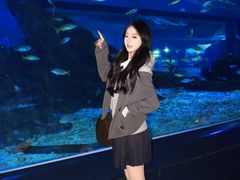 -海合安武汉极地海洋公园