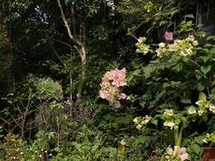 -谷咖啡·鲜花绿植花园餐厅