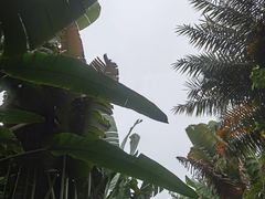 -碧桂园润杨溪谷温泉酒店