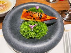 -觀芷隐轩