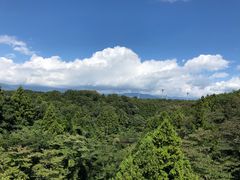-沼津魚がし鮨(御殿場アウトレット店)