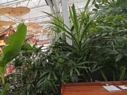 -特味村·宴会厅(生态园店)