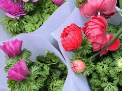 -循礼门鲜花花市(武汉循礼门店)