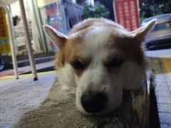 -小梁哥云吞面(黄贝岭店)