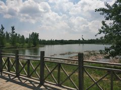 -蒲河岛湿地公园