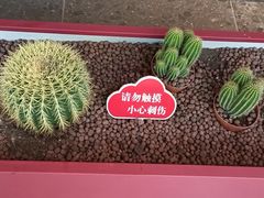 -川人百味(李家村万达广场店)