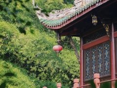 -棠湖公园