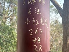 -宝通禅寺