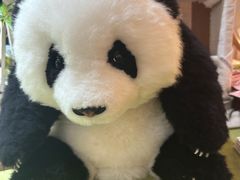 -轩客会(熊猫书店)