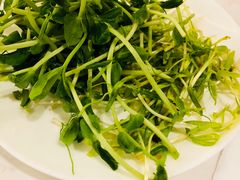 -常州环球恐龙城维景国际大酒店