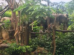 -清迈夜间动物园