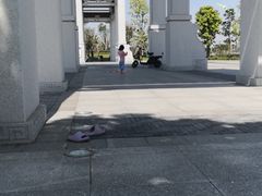 -王借岗森林公园