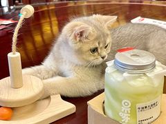 -果呀呀(凯德广场店)