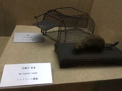 -沈阳“九·一八”历史博物馆