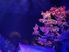 -《驼铃传奇》秀