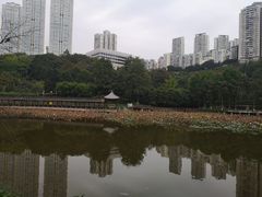 -龙头寺公园