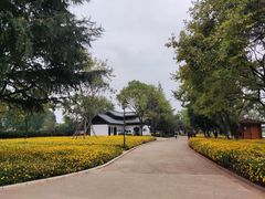 -庾园
