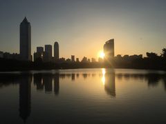 -万绿园
