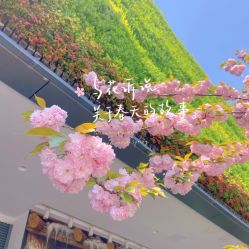 -WAVE SODA摄影工作室