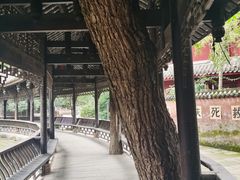 -黄龙溪古镇