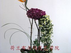 -荷兰布尔玛国际花艺学院