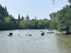 -扬州市茱萸湾风景区