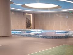 -泰康之家·申园