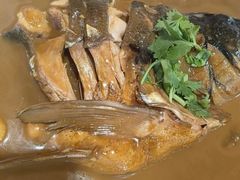 -听涛雅苑百味饺子老家菜馆