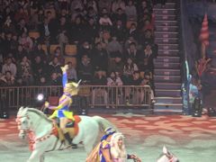 -海合安武汉极地海洋公园