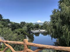 -北京西山国家森林公园