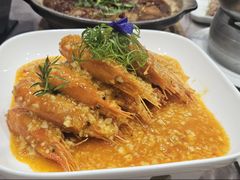 -丁老爷子苏香圆